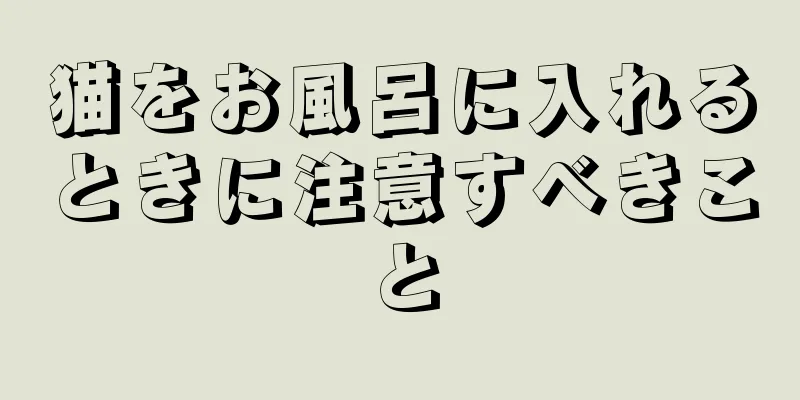 猫をお風呂に入れるときに注意すべきこと
