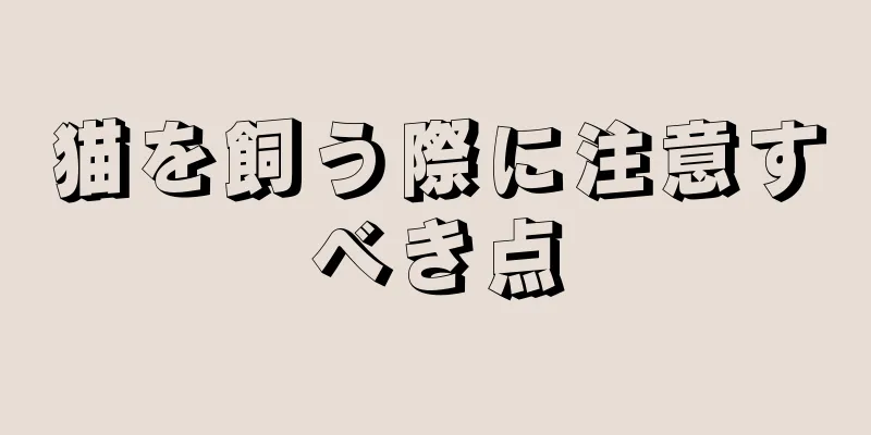 猫を飼う際に注意すべき点