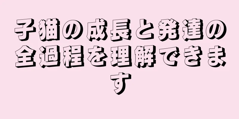 子猫の成長と発達の全過程を理解できます
