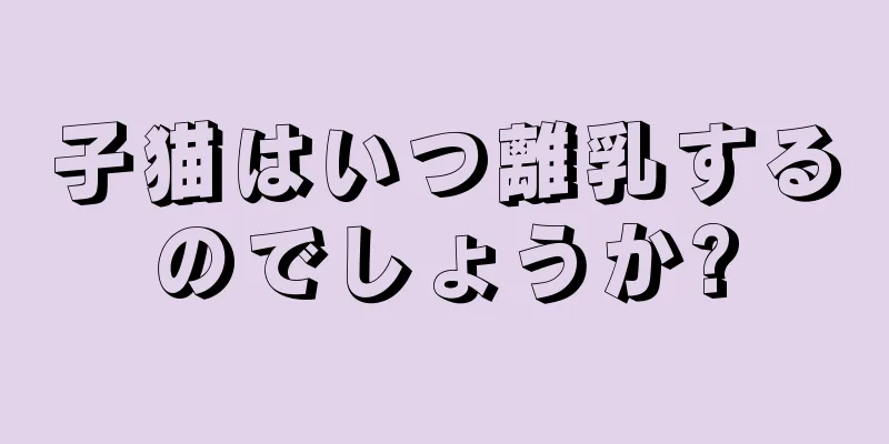 子猫はいつ離乳するのでしょうか?