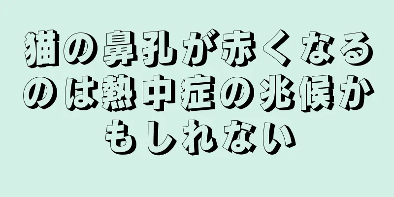 猫の鼻孔が赤くなるのは熱中症の兆候かもしれない
