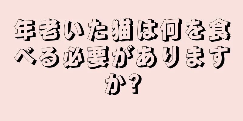 年老いた猫は何を食べる必要がありますか?
