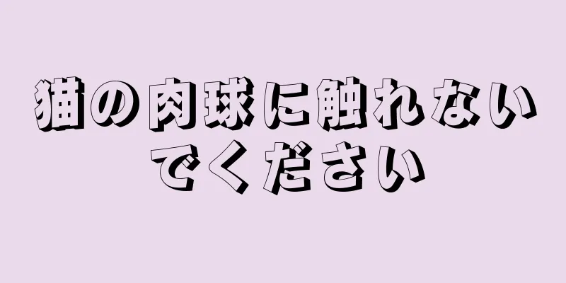 猫の肉球に触れないでください