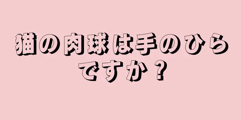 猫の肉球は手のひらですか？