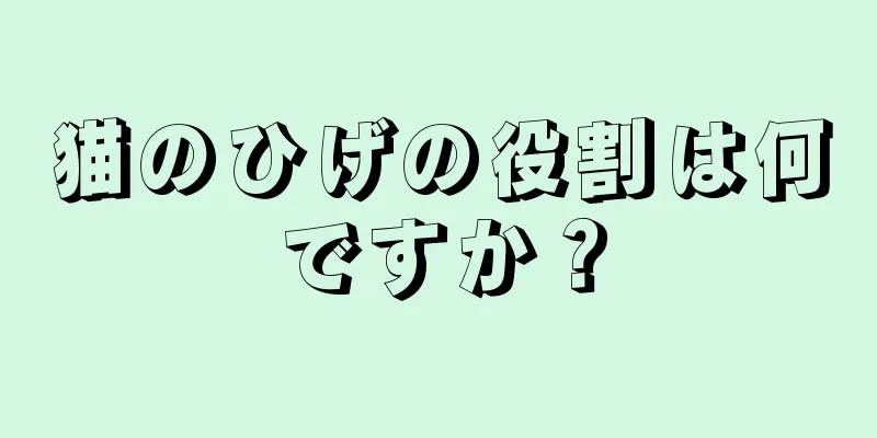 猫のひげの役割は何ですか？