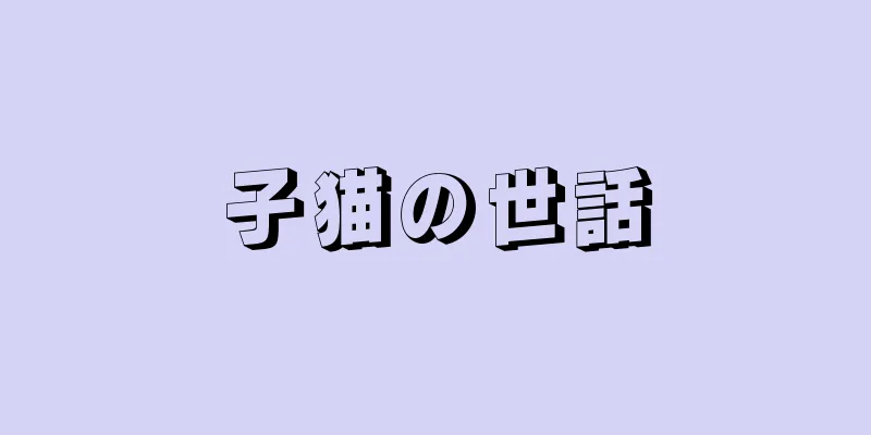 子猫の世話