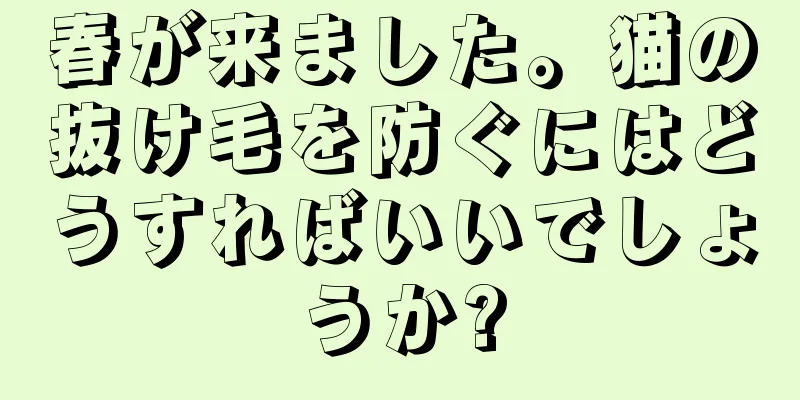 春が来ました。猫の抜け毛を防ぐにはどうすればいいでしょうか?