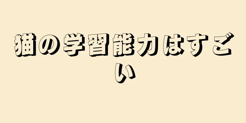 猫の学習能力はすごい