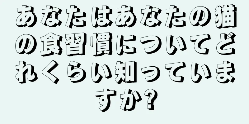 あなたはあなたの猫の食習慣についてどれくらい知っていますか?