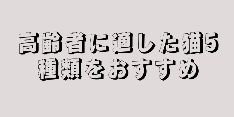 高齢者に適した猫5種類をおすすめ