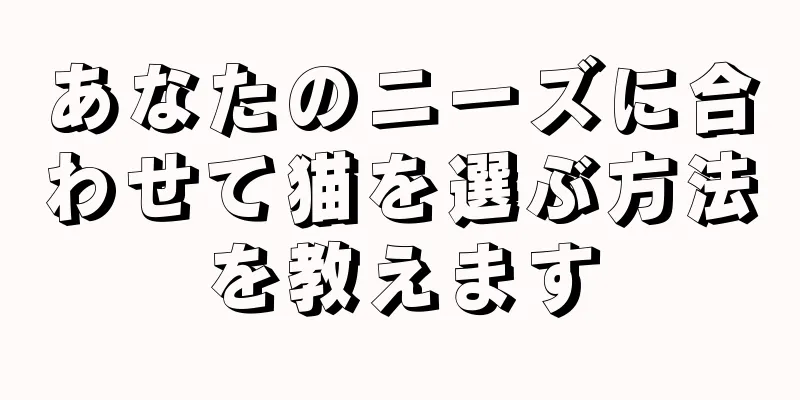 あなたのニーズに合わせて猫を選ぶ方法を教えます