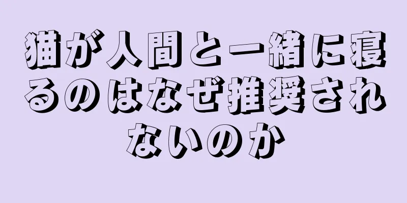 猫が人間と一緒に寝るのはなぜ推奨されないのか