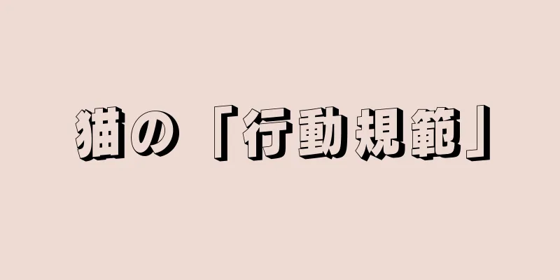 猫の「行動規範」