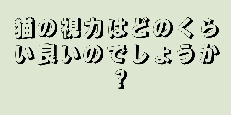 猫の視力はどのくらい良いのでしょうか？