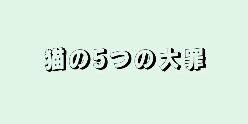 猫の5つの大罪