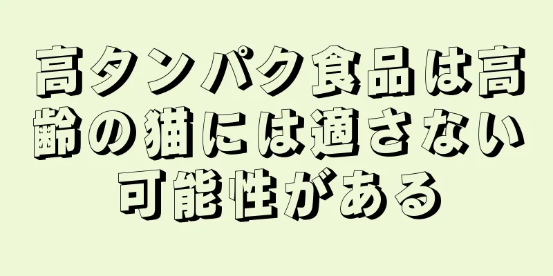 高タンパク食品は高齢の猫には適さない可能性がある