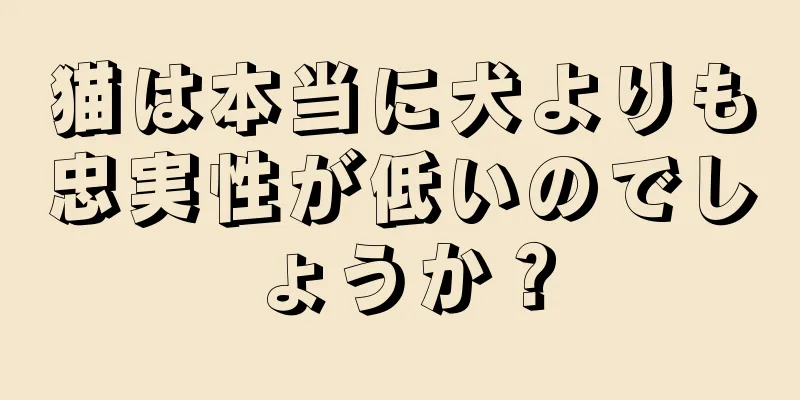 猫は本当に犬よりも忠実性が低いのでしょうか？