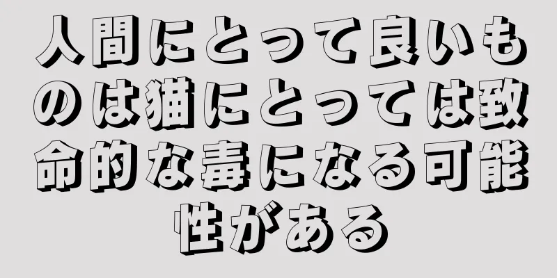 人間にとって良いものは猫にとっては致命的な毒になる可能性がある