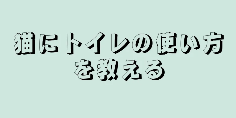 猫にトイレの使い方を教える