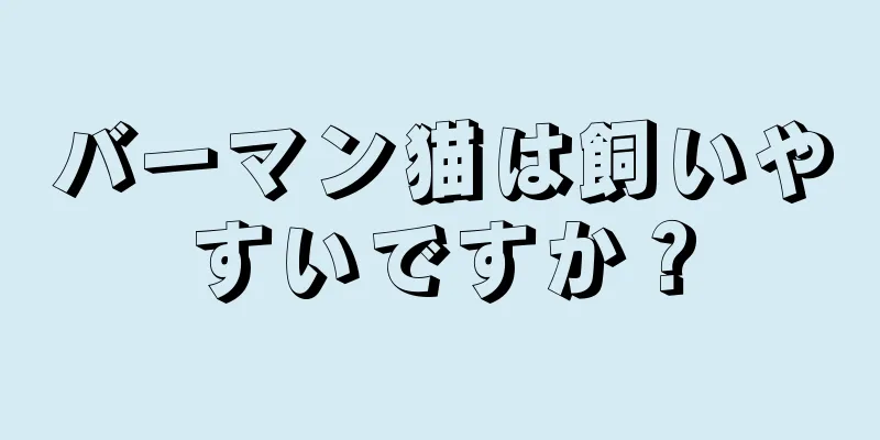 バーマン猫は飼いやすいですか？