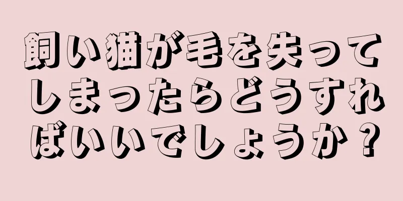 飼い猫が毛を失ってしまったらどうすればいいでしょうか？
