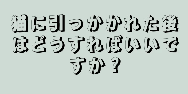 猫に引っかかれた後はどうすればいいですか？