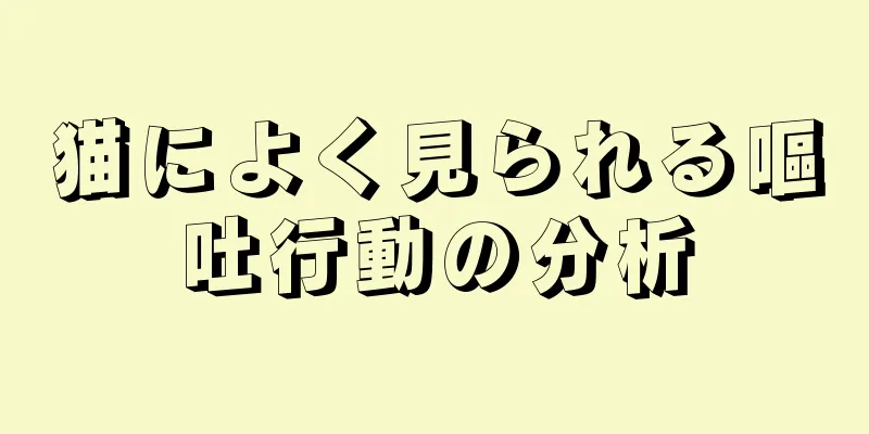 猫によく見られる嘔吐行動の分析