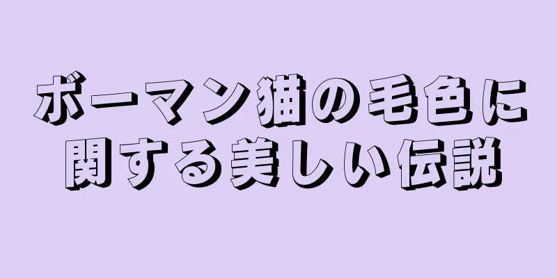ボーマン猫の毛色に関する美しい伝説