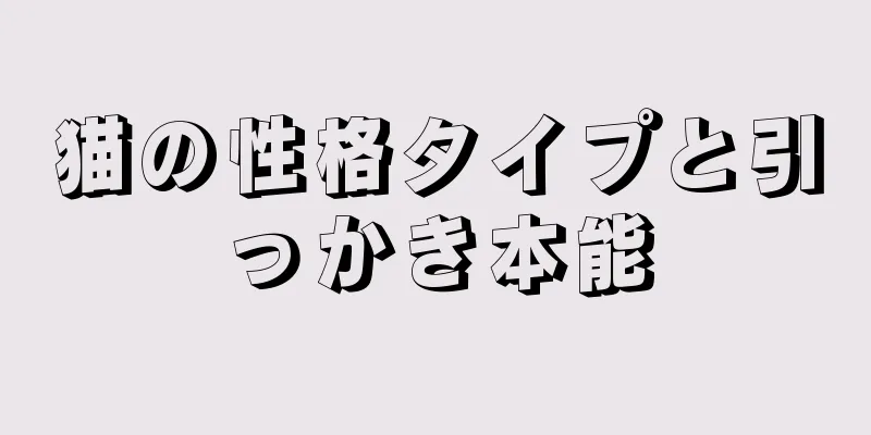 猫の性格タイプと引っかき本能