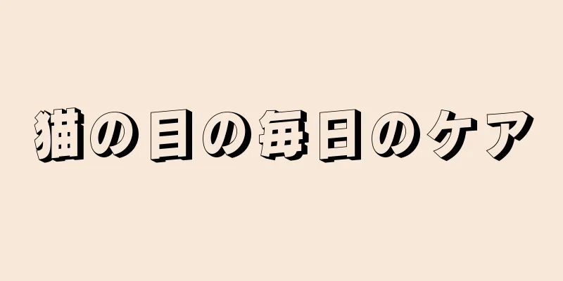 猫の目の毎日のケア