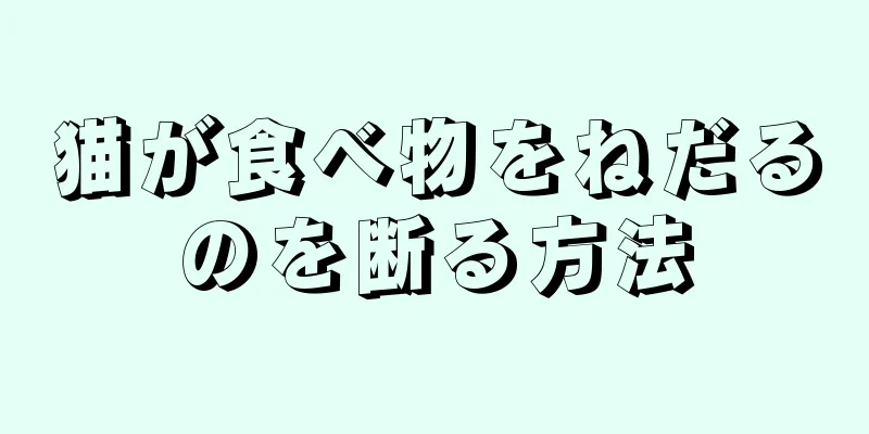猫が食べ物をねだるのを断る方法