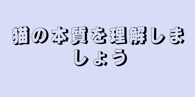 猫の本質を理解しましょう