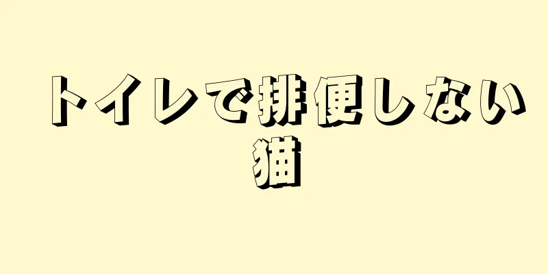 トイレで排便しない猫