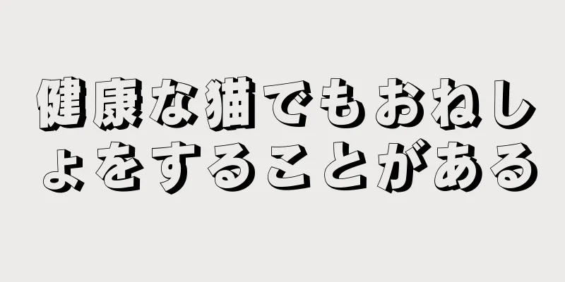 健康な猫でもおねしょをすることがある