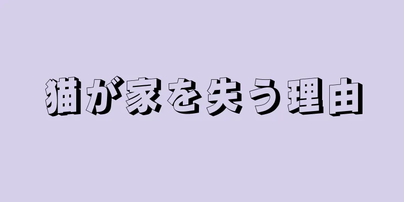 猫が家を失う理由