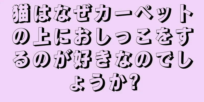 猫はなぜカーペットの上におしっこをするのが好きなのでしょうか?