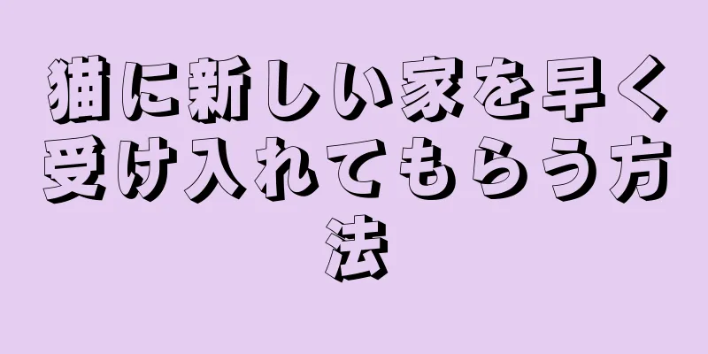 猫に新しい家を早く受け入れてもらう方法