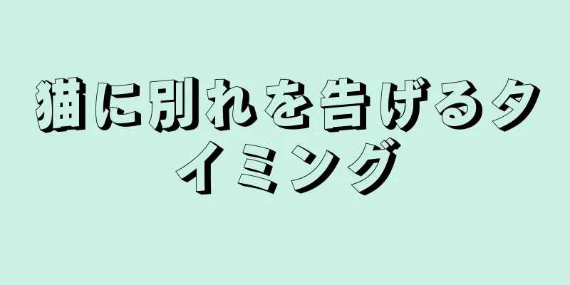 猫に別れを告げるタイミング