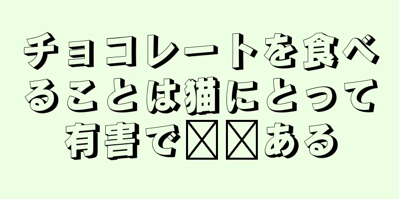 チョコレートを食べることは猫にとって有害で​​ある