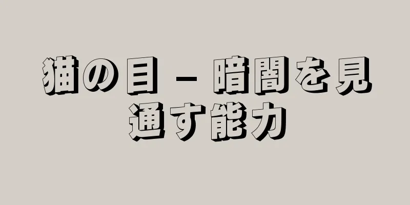 猫の目 – 暗闇を見通す能力