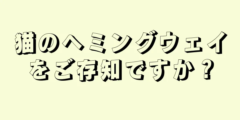 猫のヘミングウェイをご存知ですか？
