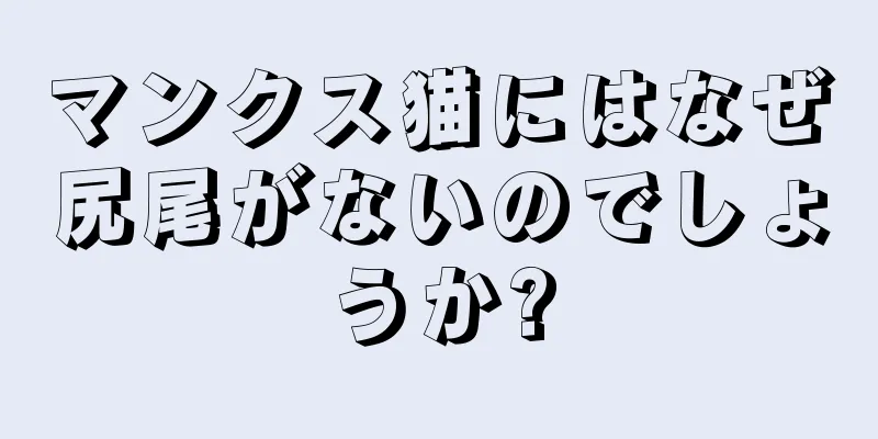 マンクス猫にはなぜ尻尾がないのでしょうか?