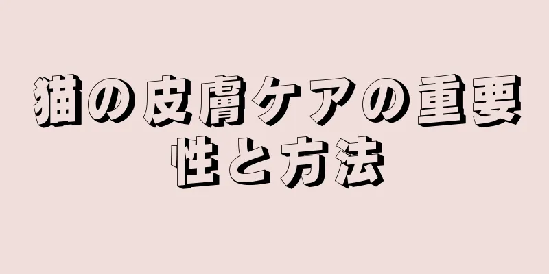 猫の皮膚ケアの重要性と方法