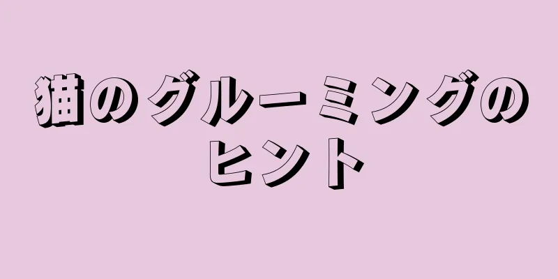 猫のグルーミングのヒント