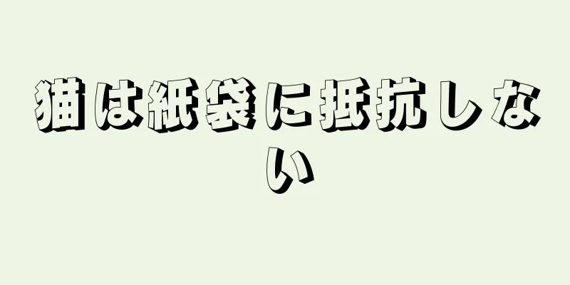 猫は紙袋に抵抗しない