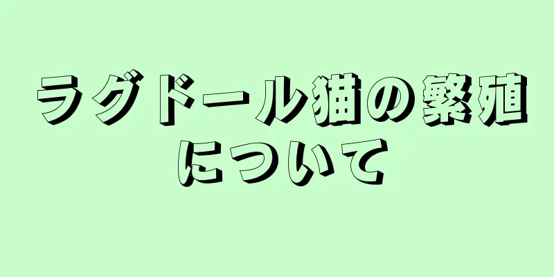 ラグドール猫の繁殖について