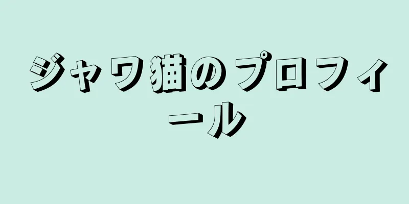 ジャワ猫のプロフィール