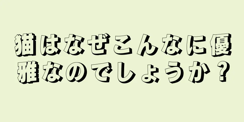 猫はなぜこんなに優雅なのでしょうか？