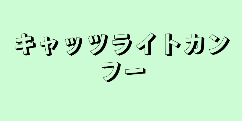キャッツライトカンフー