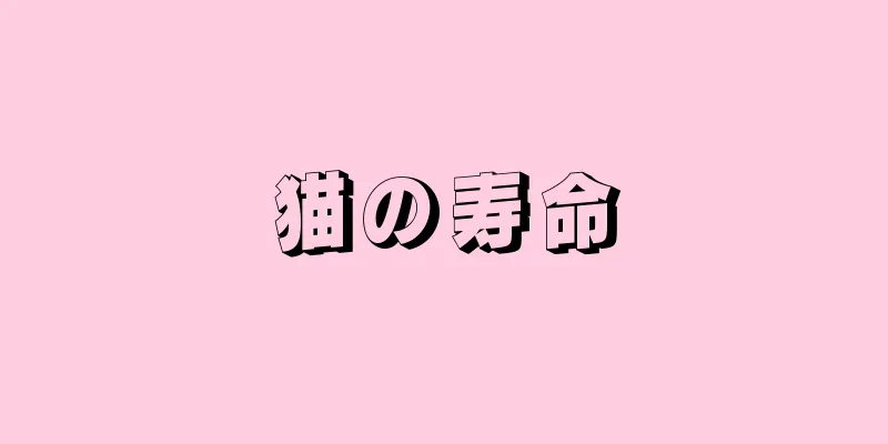 猫の寿命